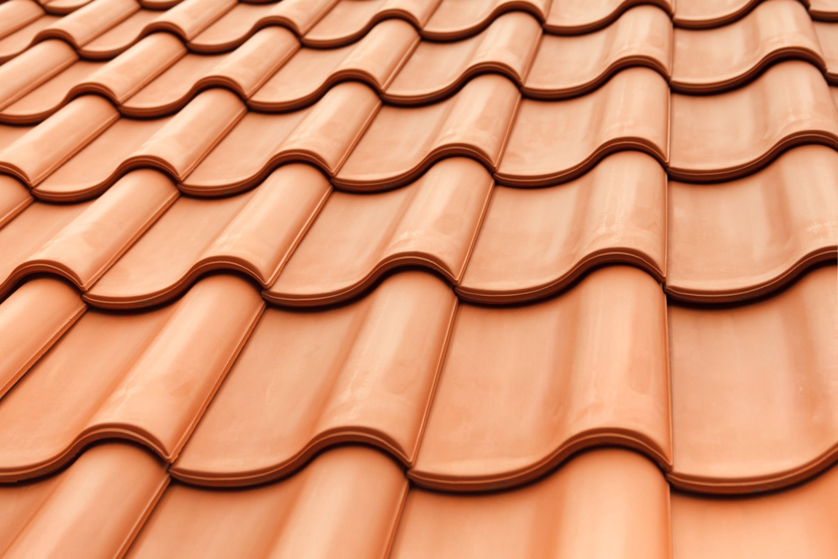 Shutterstock 2671354669