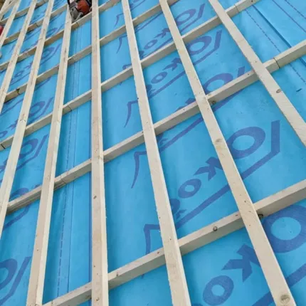 176156940 2731923897030019 1032502481552601970 n 1