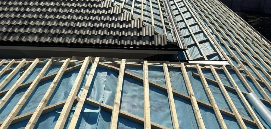 331732772 524646359557690 210213810694773938 n