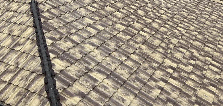 331756987 761660961958546 696594794883991332 n