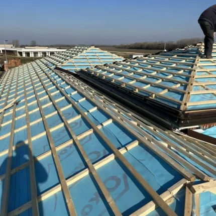 331535013 1017710295856134 6083987375410952350 n